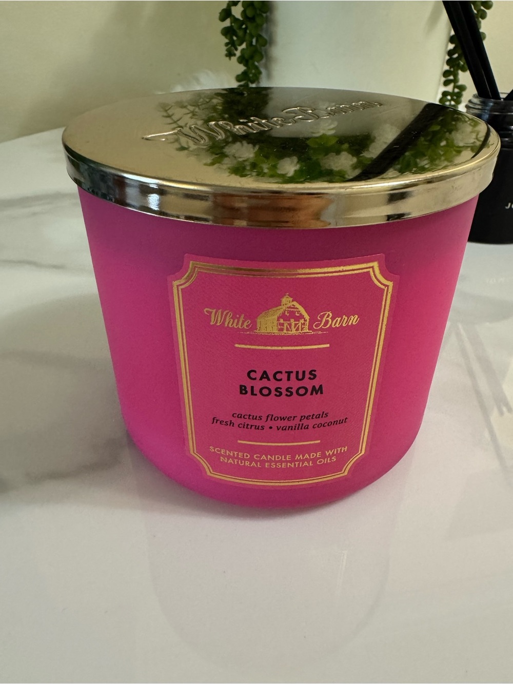 Bath & Body Works White Barn Cactus Blossom Candle - Bright Pink with Gold Lid
